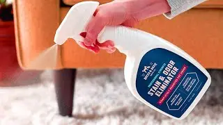 Top 5 Best Dog Odor Removers in 2023 | Buying Guide & Reviews