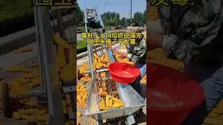 #Double chain leakage grain feeding machine, all soil and rotten seeds leak out,