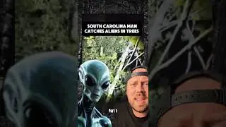 Aliens in Trees South Carolina 🛸 #aliens #reels #ufosighting  #southcarolina #metacowboy