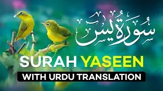 Listen Complete Surah Yaseen With Urdu Tarjuma | Shaikh Ismail Nuri Voice | Yaseen With Translation