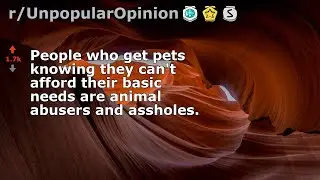 People who get pets knowing they cant afford their basic needs are animal... (r/UnpopularOpinion)