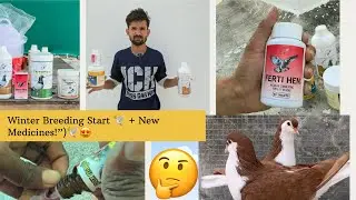 &ldquo;Winter Breeding Start 🕊️| New Medicines for My Pigeons 💊 | Pigeon Care Tips 2025&rdquo;