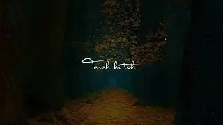 Sanam re Status Song🥰Whatsapp Status Song❤️ Lyrics song