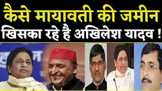 BSP : कैसे मायावती की जमीन खिसका रहे है अखिलेश यादव ! Samajwadi Party | Akhilesh Yadav | Earth24news