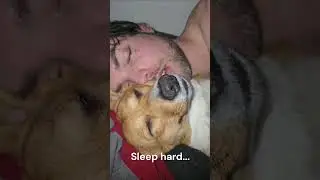Work hard, sleep hard...