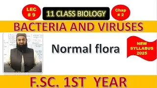 Normal flora | BACTERIA AND VIRUSES | Chapter 2| F.Sc. 1st Year Biology | L#9