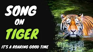 Tiger Song, #tiger , #animals ,#songs, #dream