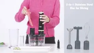 Oster 6-in-1 Multi Purpose Hand Blender # 2620
