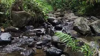 Piano Music with Water Flow for Insomnia and Blood Pressure Relief