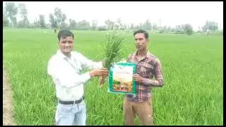 multiplex trishul