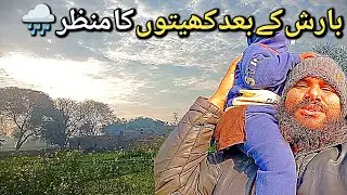Barish Ke Baad Kheton Ka Khubsurat Manzar | Village Life Pakistan|Asif kolowala vlogs