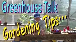 Gardening Tips, Greenhouse Talk, Self Pollinating Vegetables 5-30-2023