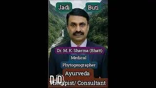Medicinal Uses of Chab    #viral #Jadibuti#health#disease#ayurved