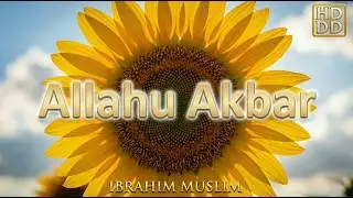 Muslim - Allah Is the Best of Planners | Powerful Nasheed of Trust, Patience, and Divine Wisdom ᴴᴰ