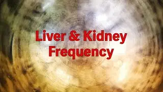 EP002 | 317.83Hz (Liver frequency) 319.88Hz (Kidney frequency) Tibetan Singing bowl healing Music