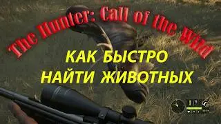 Симулятор охоты The Hunter: Call of the Wild Как быстро найти животных