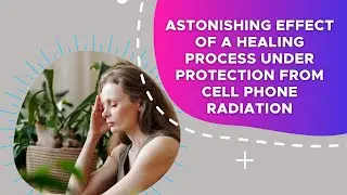Waveguard Qi Shield Home EMF Protection study on biological healing. Protection from 5G and cellular