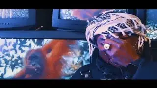 V. Nova X TTTIIIZZZ - Ape & The Elephant | Official Video 