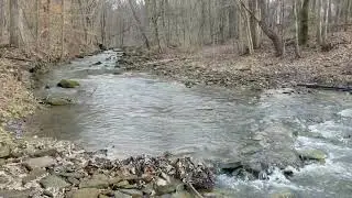 Water Crossing on a Local Trail