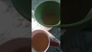 #chaylover, #funnyshorts, #funnyvideos, #epicroutes, #ytshorts, #chay,#funny  #tealovers @roots_