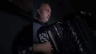 Da li jo&scaron; cvetas rumena ružo-Zoran Kalezic, #music #accordion