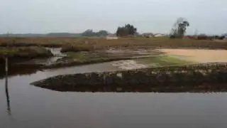 Ribeira da Aldeia Pardilhó.wmv
