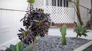 GRANNY FLAT SAN DIEGO STYLE: THE LEUCADIAN by CREST 'BACKYARD' HOMES www.crestbackyardhomes.com