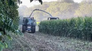 Claas 970 cutting corn