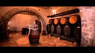 Vinograd & Vinska klet | Vineyard & Wine Cellar