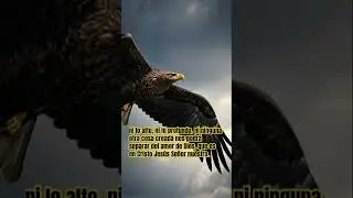 Romanos 8:39