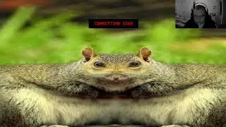 Squirrel Stapler Full Game November 29 2025