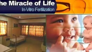 Best IVF Center In India - IVF Treatment - Infertility treatment Gujarat