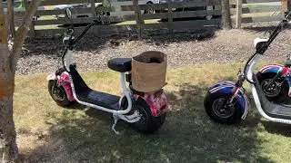 Martinborough Vineyard Wine Trail Tour On Electric Scooters For Shelleys Birthday