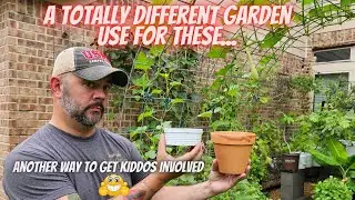 Kid Friendly Ideas for Watering Plants & Our Pollinators || DHBG