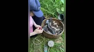 Strong fisherman