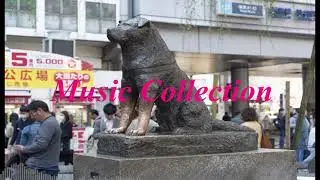 Hachiko (The Faithful Dog)   (Music Collection ,free download)