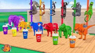 Choose Right Drink Animal cartoon | Elephant Gorilla Cow Tiger Dinosaur buffalo Wild Animals Cartoon