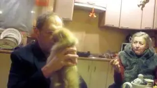 дача Знаменский Томин