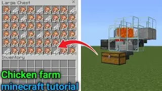 Tutorial membuat chicken farm di minecraft pocket edition/bedrock edition | Minecraft tutorial |