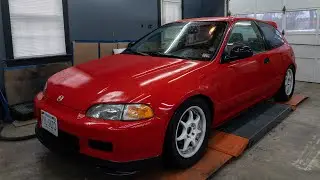1995 EG Restoration *Everything rattle can*