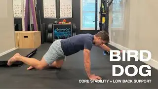 Bird Dog Technique for Real Core Control