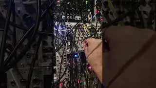 Multi-basslines thru different eurorack methods!