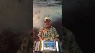 SteelHappiness.com - Under the Sea