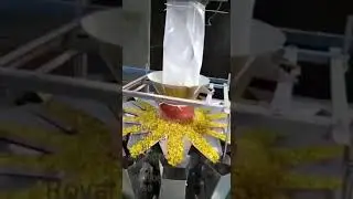 Bucket elevator/Z type conveyor/mixture/all type of granules packing machine