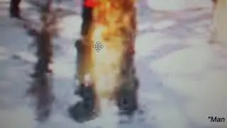 PORTAL AREA TREE ONCE AGAIN SHOWS AN 