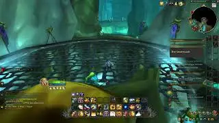 World of Warcraft Paladin The Steamvault #wow #nedeulers