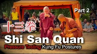 十三拳 &middot; Shi San Quan 🫵 Basic Structure / Pressure Testing 🫵 in Shaolin Kung Fu Forms