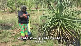 Kamanj gets Pandanus fiber