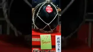 This Watermelon Can Cost More Than an iPhone #japanesefood