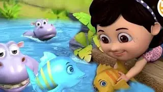 Machli Hal ki Rani h poem for kids |. Hindi rhymes @kidsrhymes